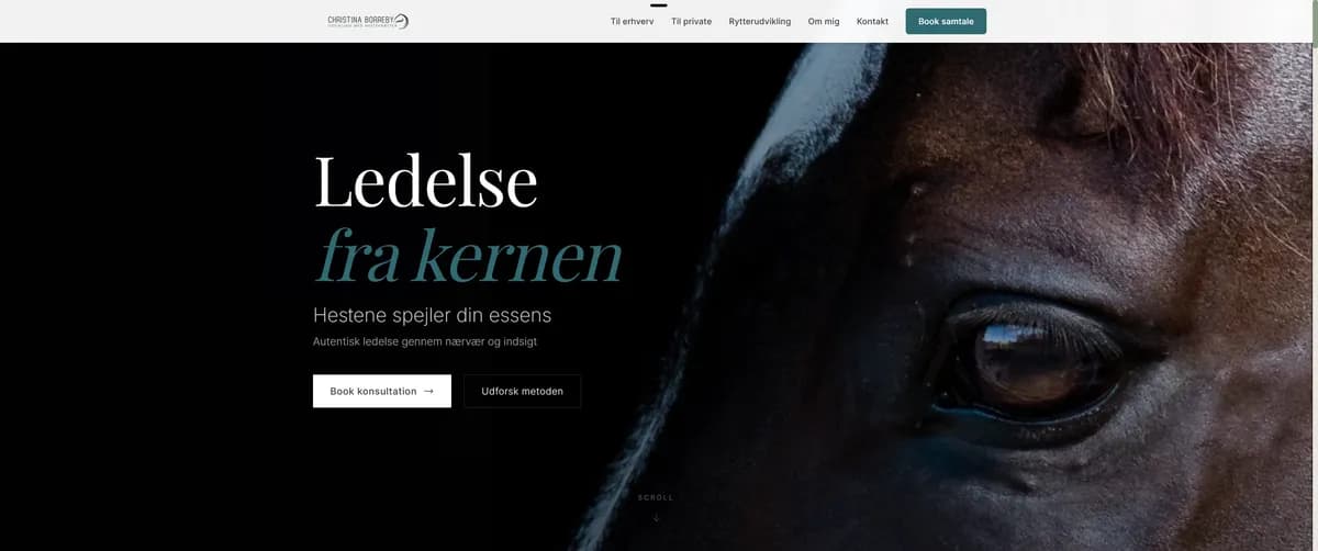 Autentisk lederudvikling med hesteassisteret coaching