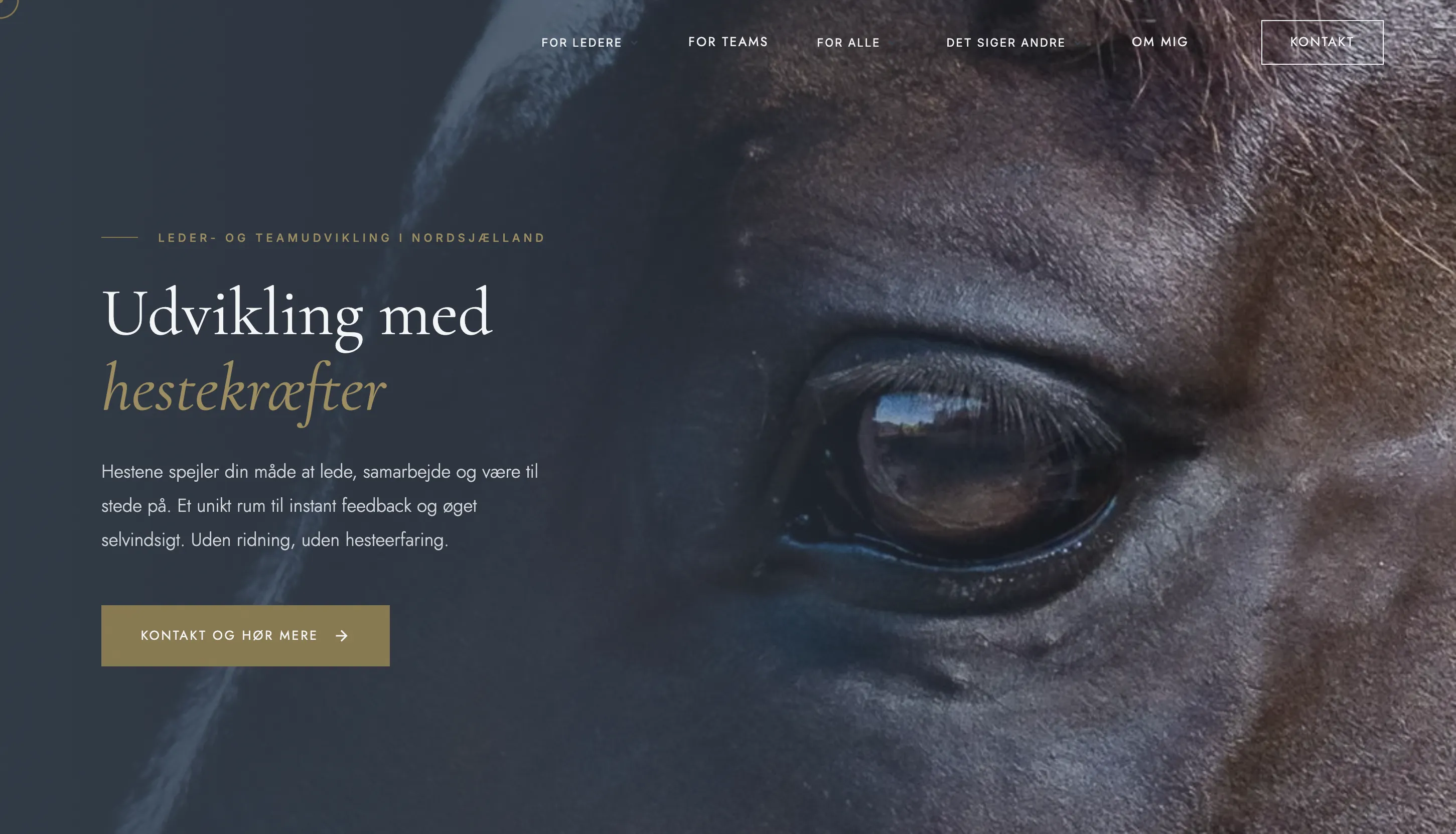 Autentisk lederudvikling med hesteassisteret coaching